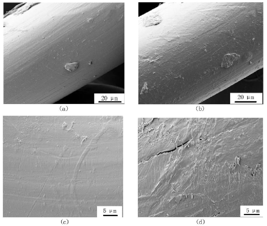 聚丙烯等離子處理前后對(duì)比