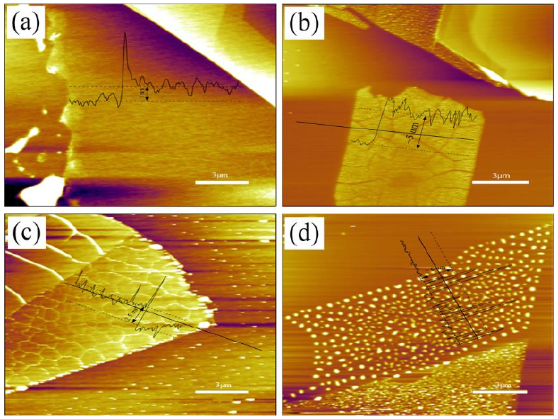 圖 3.5 低溫氧等離子體處理后單層 M o S 2 薄膜形貌圖。（a）樣品 1 # 的厚度~ 1 nm；（ b）樣品 2 # 的厚度~ 5 nm；（ c）樣品 3 # 的厚度~ 3.5 nm；（ d）樣品 4 # 的厚度~ 6 nm。