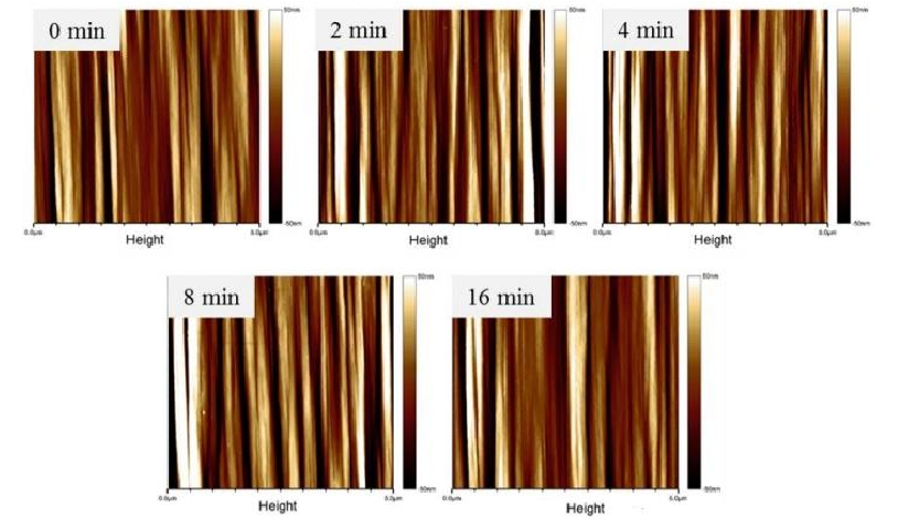 不同等離子體處理時間碳纖維的AFM圖